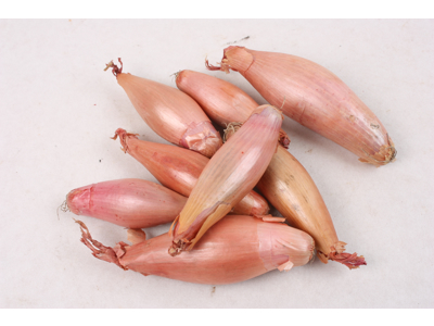 Løg Skalotte banan 1 kg.