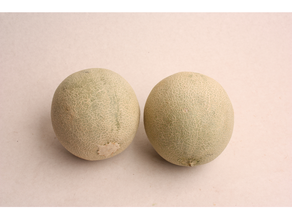 Melon Canteloup kasse 5/6 stk.