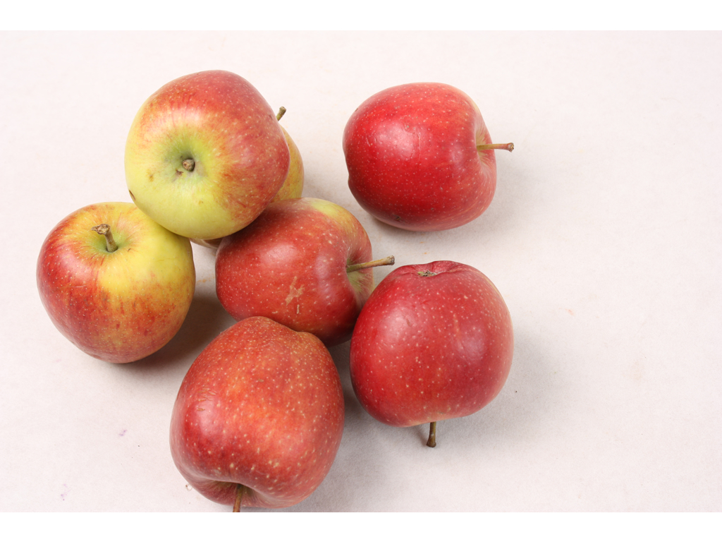 Æbler Braeburn stk.