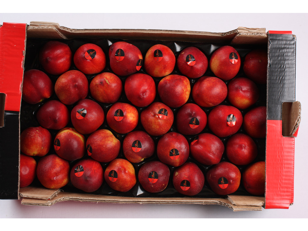 Nektariner ca3 kg. ca. 25 stk kasse 