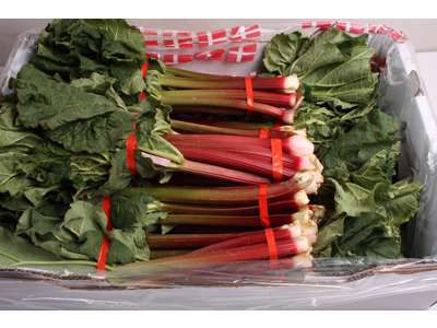 Rabarber Danske 10 bdt. kasse