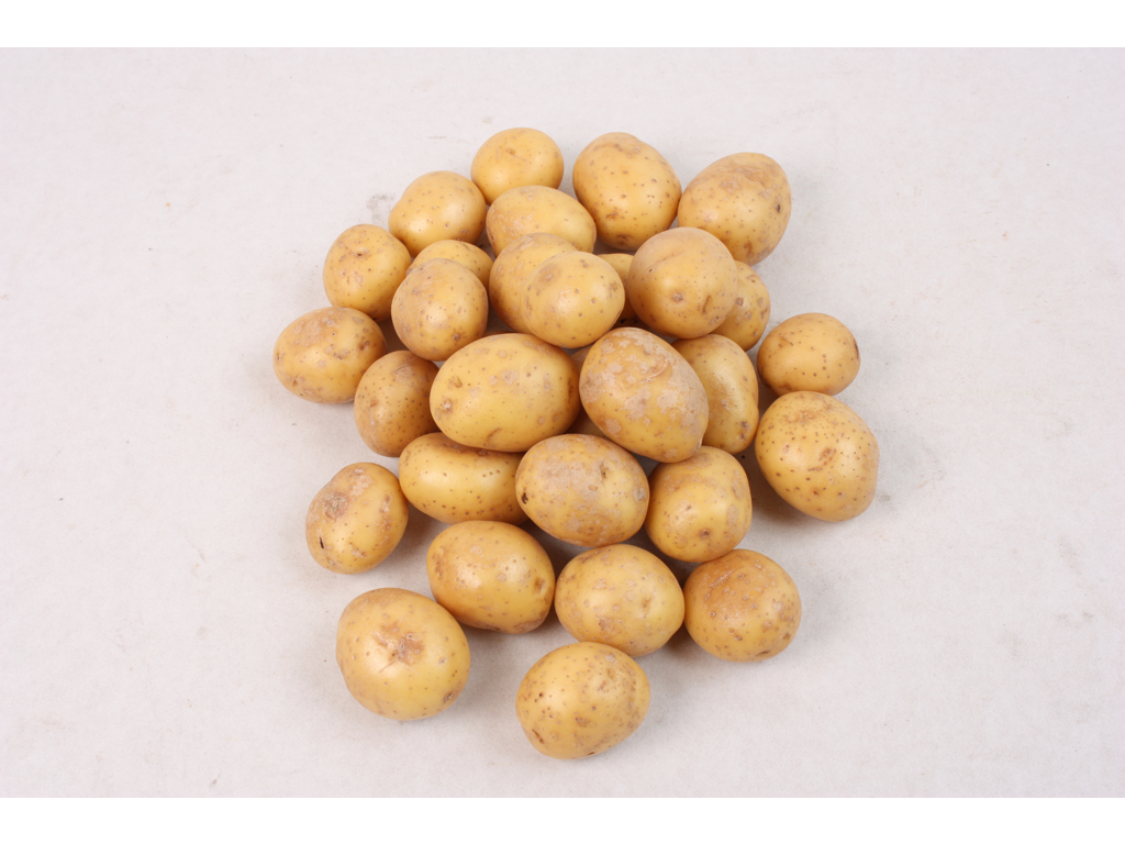 Kartofler petit 1 kg. Danske