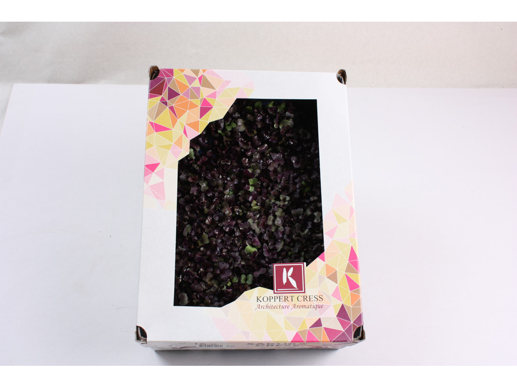 Karse Rød ks. a 18 bk.