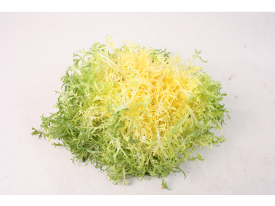 Salat frisee - gul