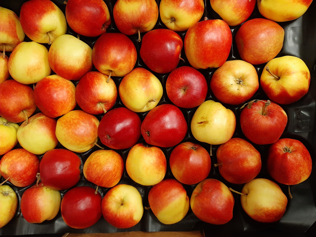 Æbler Gala royal kasse ca. 70 stk. 10 kg.