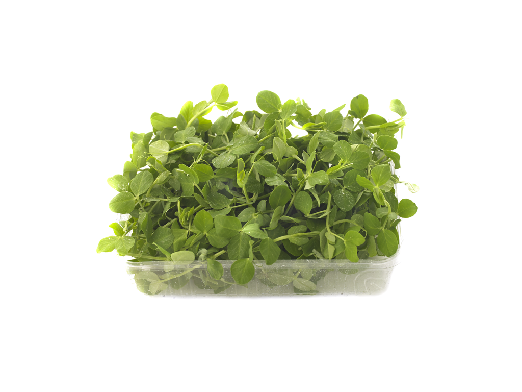 Salat ærteskud 500g.