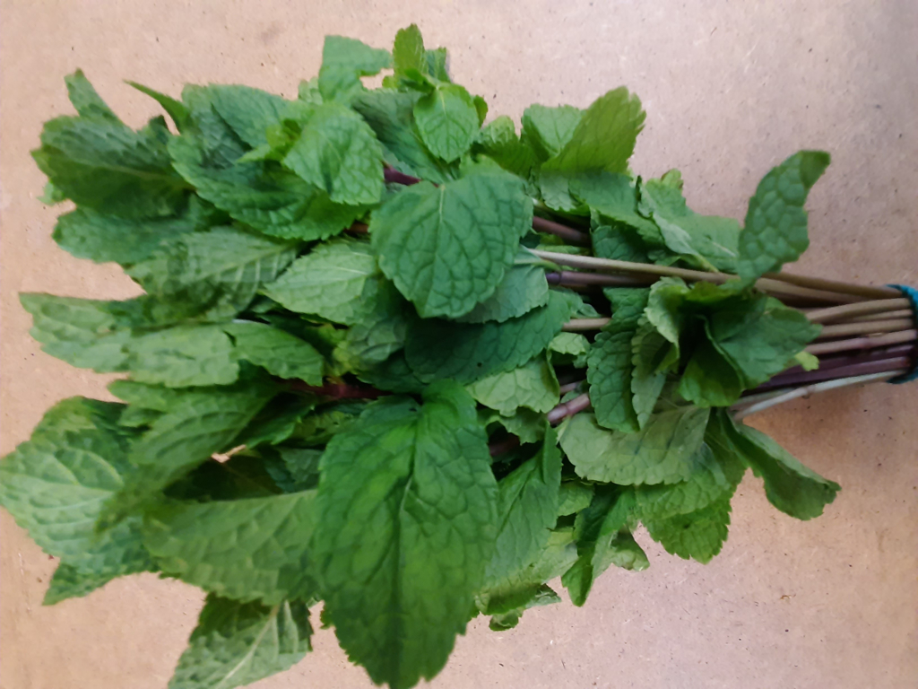 Mynte kasse a 2 kg (Skumkasse)