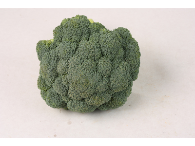 Broccoli ks. 10*500 gr Spanske