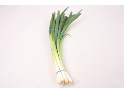 Forårsløg bdt.