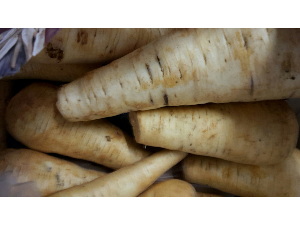 Persillerødder kasse 5 kg. Danske 