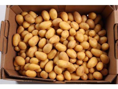 Kartofler Petit egyptiske kg.
