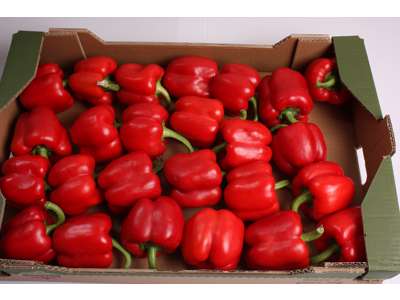 Peber rød økologisk ks