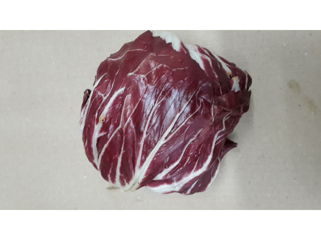 Salat radisio kasse ca. 3 kg.