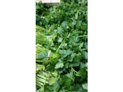 Persille bredbladet i kasse