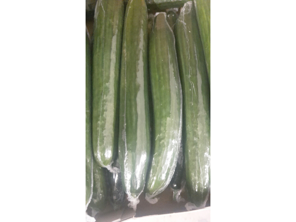 Agurker med film kasse 12/14 stk.