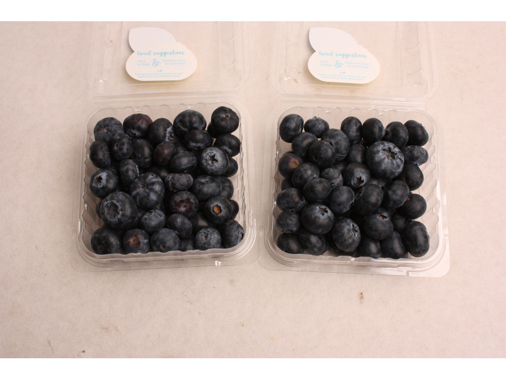 Blåbær 125g. kasse