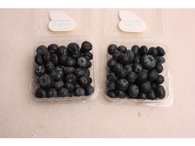 Blåbær 125g. kasse