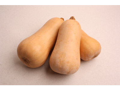 Butternut squash