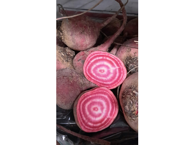 Beder stribet  øko kg