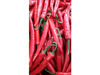 Chili rød kg