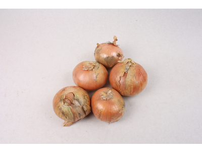 Løg 1 kg 