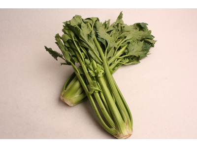 Bladselleri kasse 16 stk. Spanske 