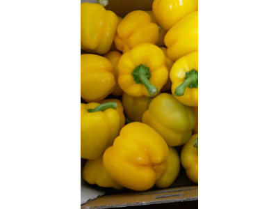 Peber gul kasse 5 kg.