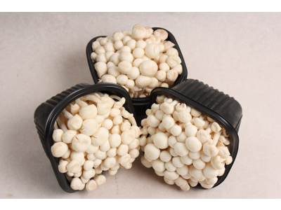 Bøgehatte hvide 20*150 gr = 3 kg kasse