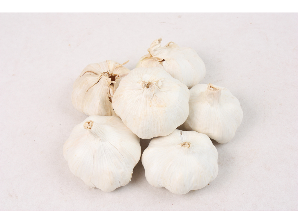 Hvidløg stk.