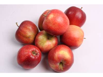 Æbler Red Prince stk