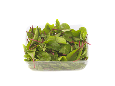 Salat Rød mangold 