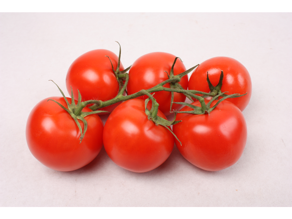 Tomater på stilk kasse 5 kg.