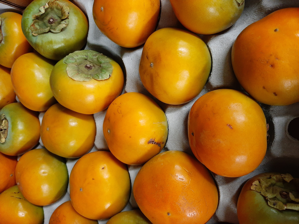 Sharon/persimon frugt kasse ca. 20 stk.