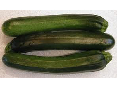 Squash grøn 