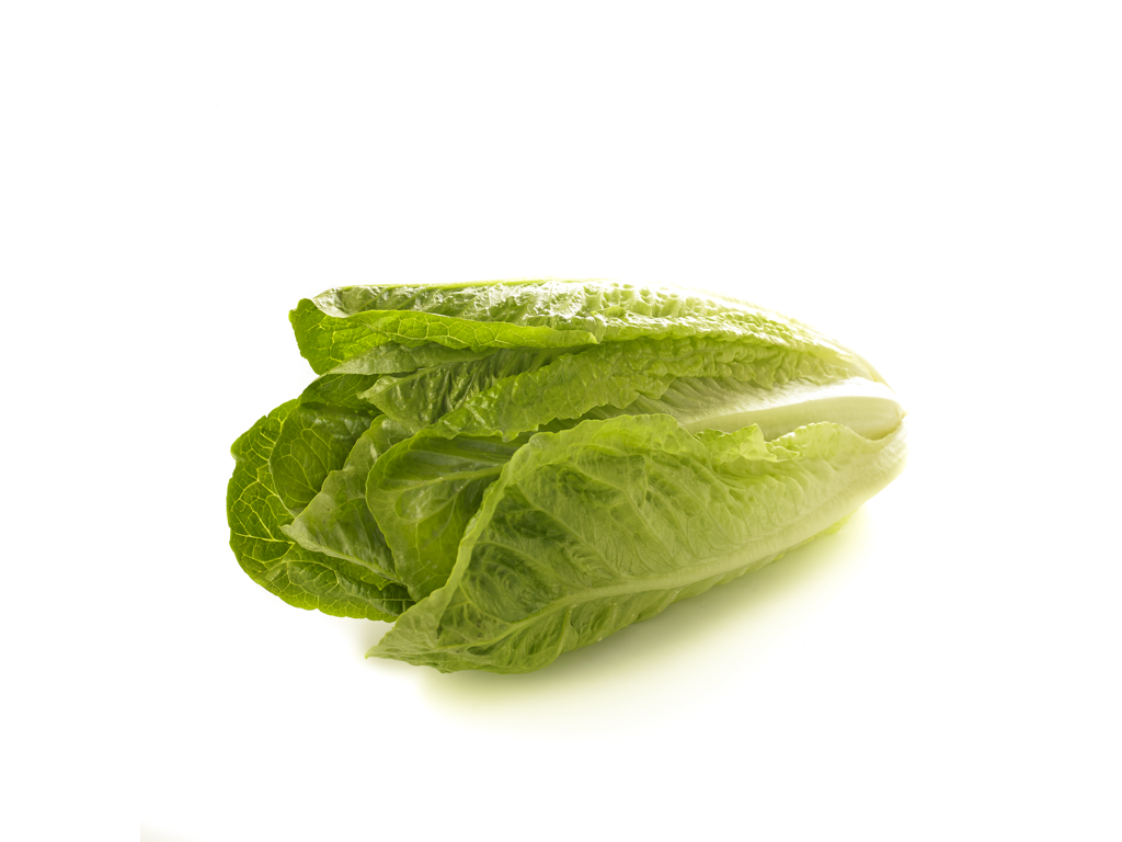 Salat Romain 8 stk ks.