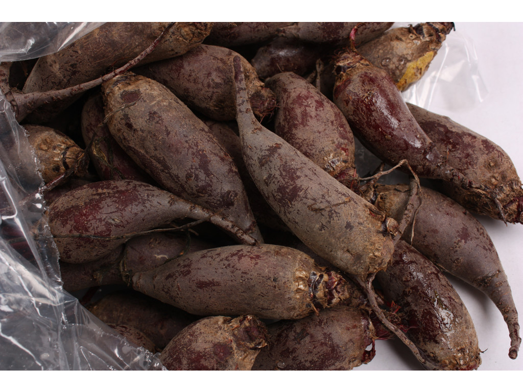 Rødbeder baby 5 kg sæk