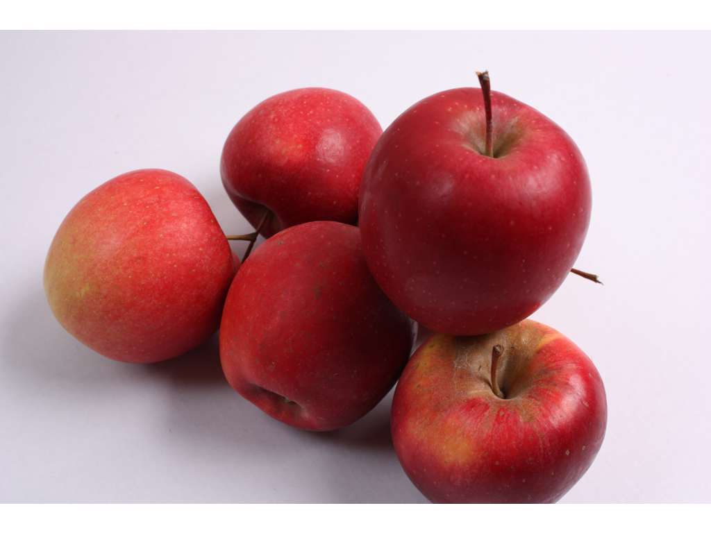Æbler Royal gala øko