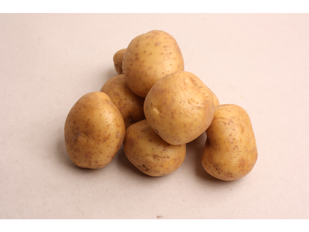 Kartofler bage Maris piri kasse 15 kg.