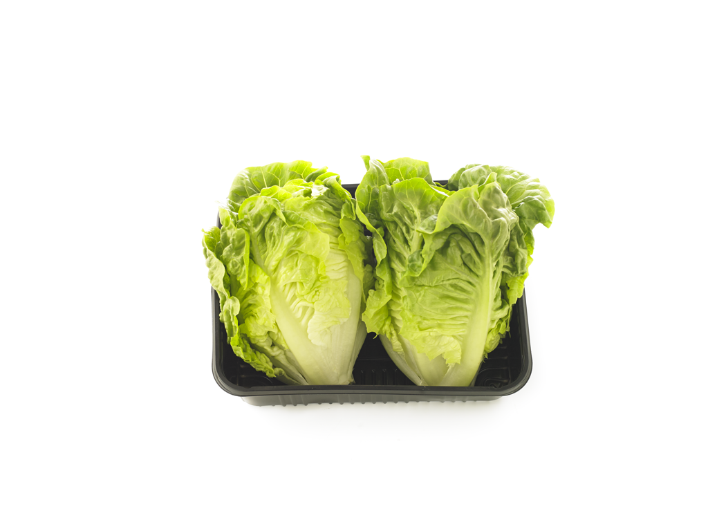 Salat Hjerte i flow pk. ks. 8*2 stk.