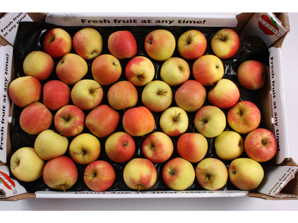 Æbler Pink Crisp 18 kg. ca. 135 stk.