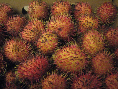 Rambutan 