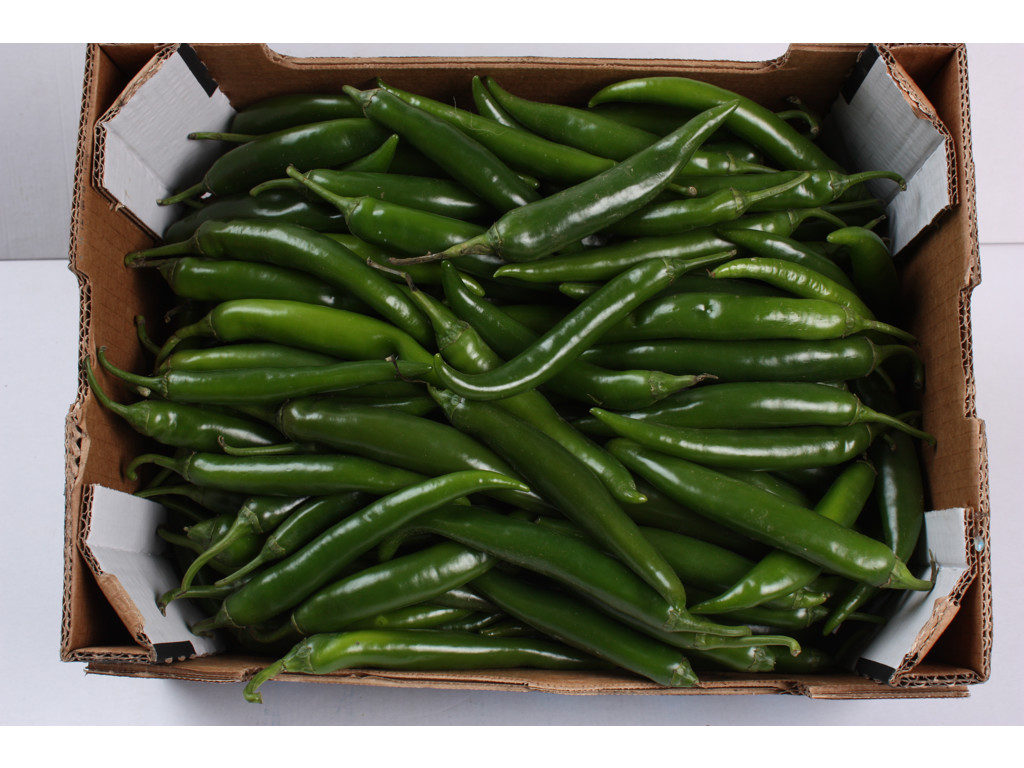 Chili grøn kasse 3 kg