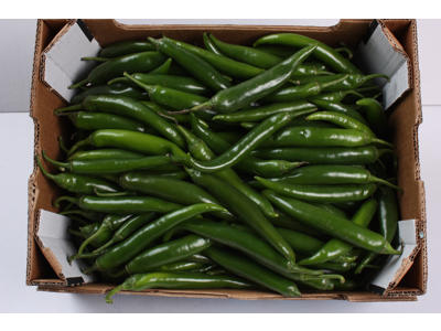 Chili grøn kasse 3 kg