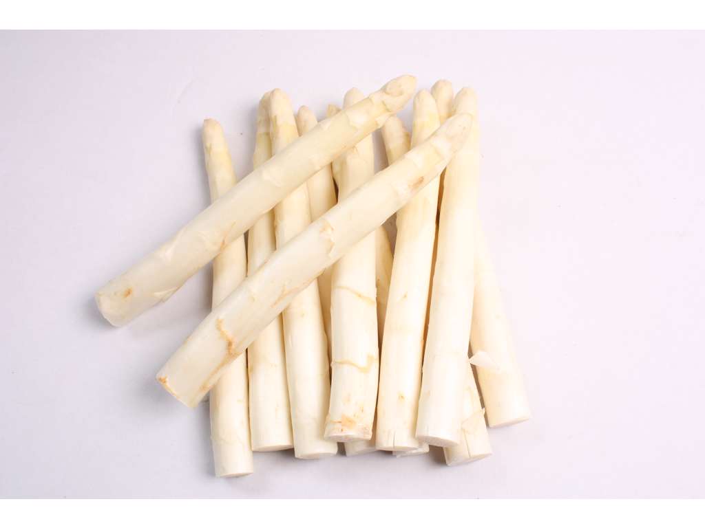 Asparges hvide kg. holland