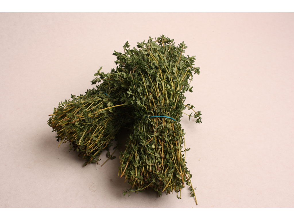 Timian citron i bdt.