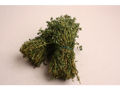 Timian citron i bdt.