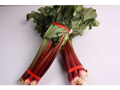 Rabarber danske bdt.