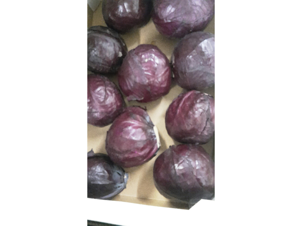 Rødkål 6-8 stk. ks  ca. 10 kg.  danske