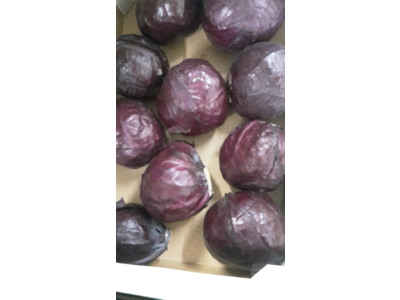 Rødkål 6-8 stk. ks  ca. 10 kg.  danske