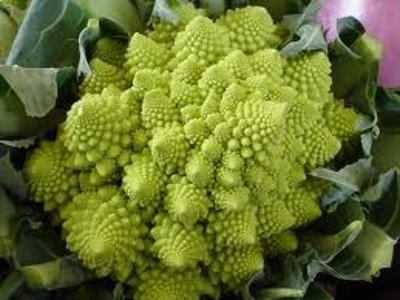 Blomkål grøn Romanesco 